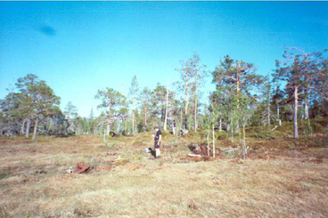 1041 crash site in 2002