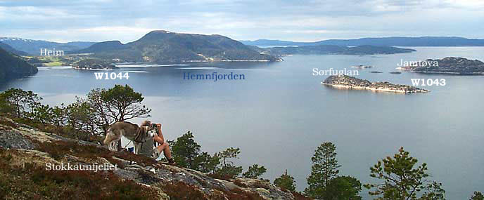 Overview of Hemnefjord showing where the two Halifaxes W1043 & W1044 came down.