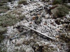 wreckage in snow October 2003